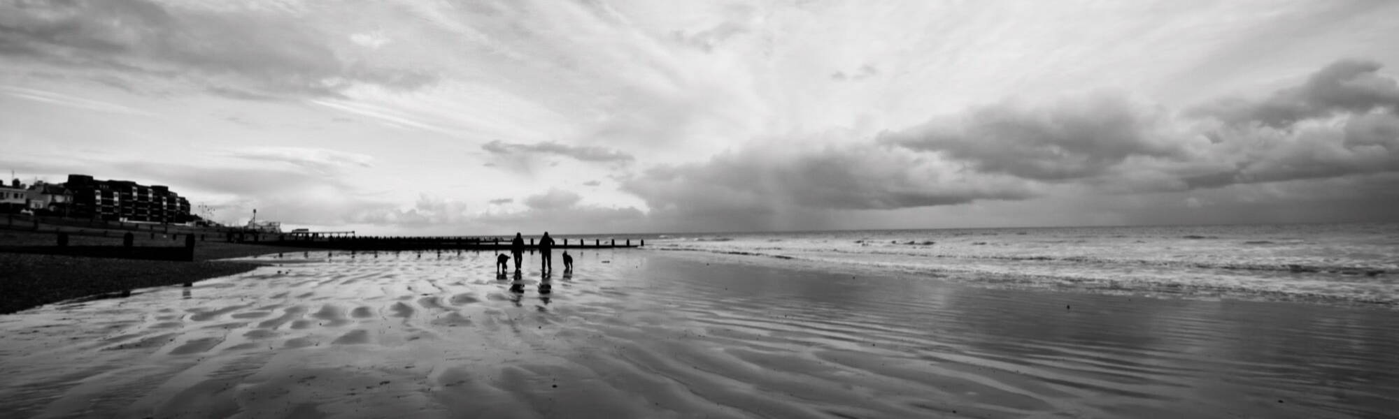 Two people walking along a beach with two dogs